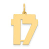 14k Medium Polished Number 17 Charm