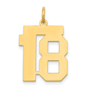 14k Medium Polished Number 18 Charm