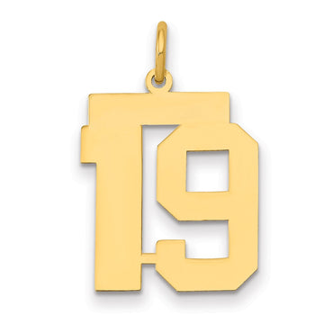 14k Medium Polished Number 19 Charm