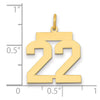 14k Medium Polished Number 22 Charm