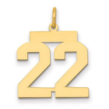 14k Medium Polished Number 22 Charm
