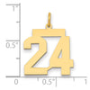 14k Medium Polished Number 24 Charm