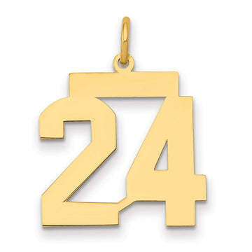 14k Medium Polished Number 24 Charm