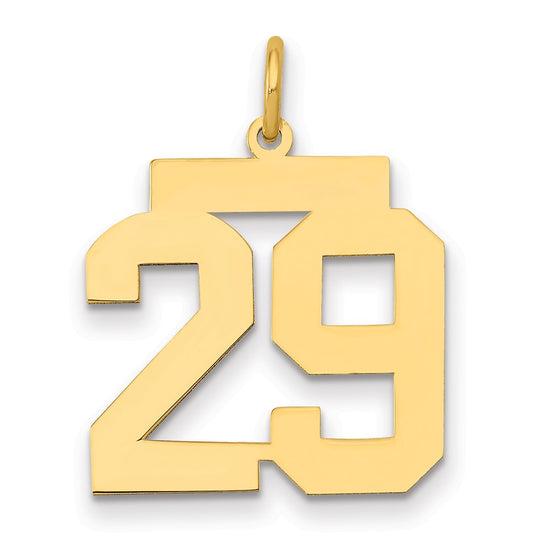 14k Medium Polished Number 29 Charm