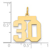14k Medium Polished Number 30 Charm