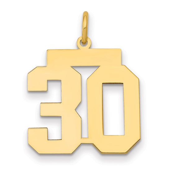 14k Medium Polished Number 30 Charm
