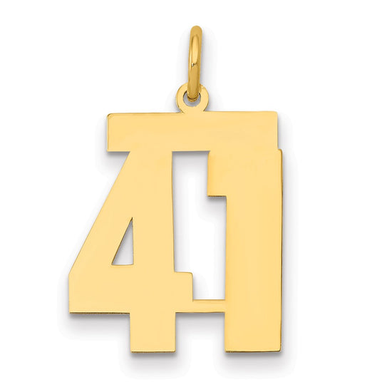 14k Medium Polished Number 41 Charm
