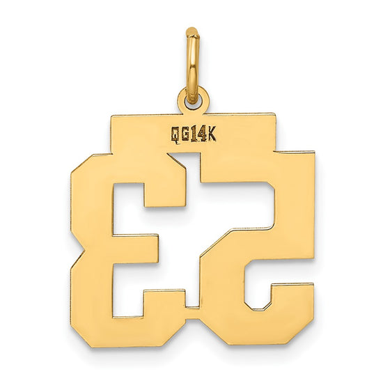 14k Medium Polished Number 53 Charm