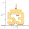 14k Medium Polished Number 53 Charm