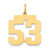 14k Medium Polished Number 53 Charm