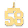 14k Medium Polished Number 58 Charm