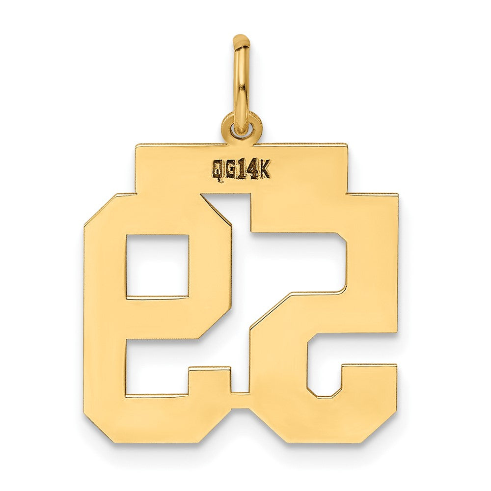 14k Medium Polished Number 59 Charm