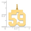 14k Medium Polished Number 59 Charm