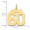 14k Medium Polished Number 60 Charm