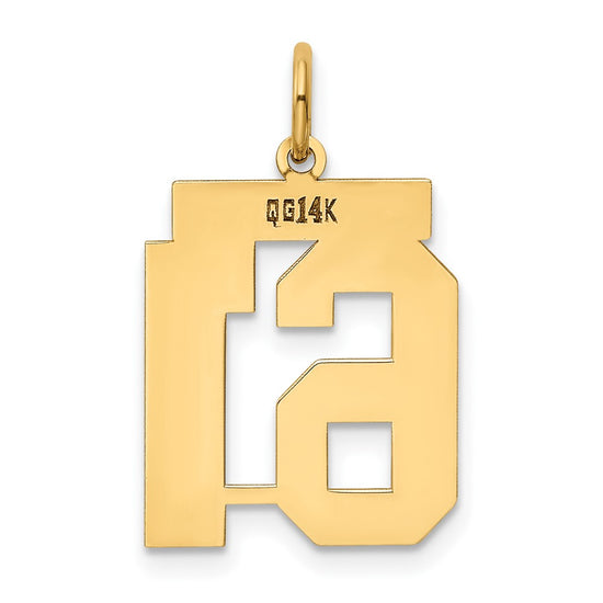 14k Medium Polished Number 61 Charm