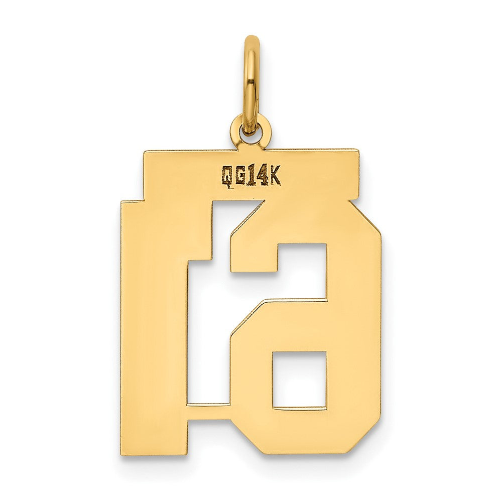 14k Medium Polished Number 61 Charm