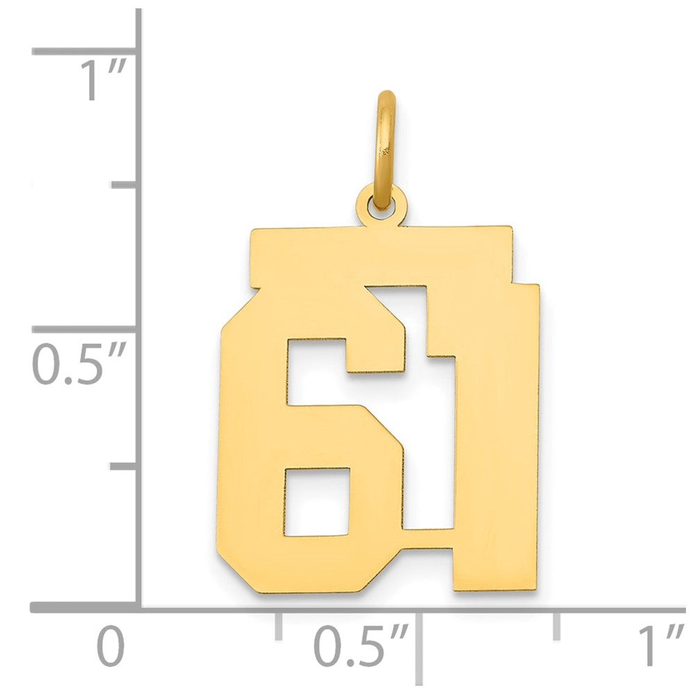 14k Medium Polished Number 61 Charm