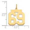 14k Medium Polished Number 69 Charm