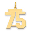 14k Medium Polished Number 75 Charm