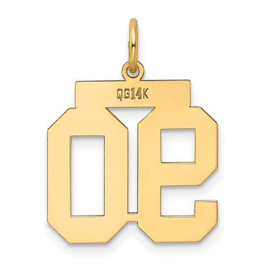 14k Medium Polished Number 90 Charm