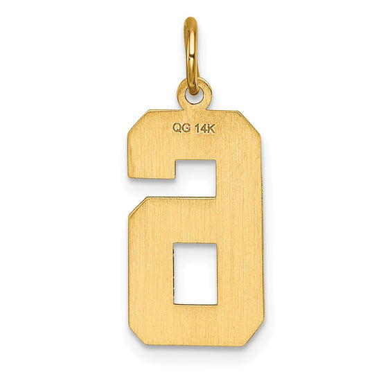 14k Large Brushed Diamond-cut Number 6 Charm