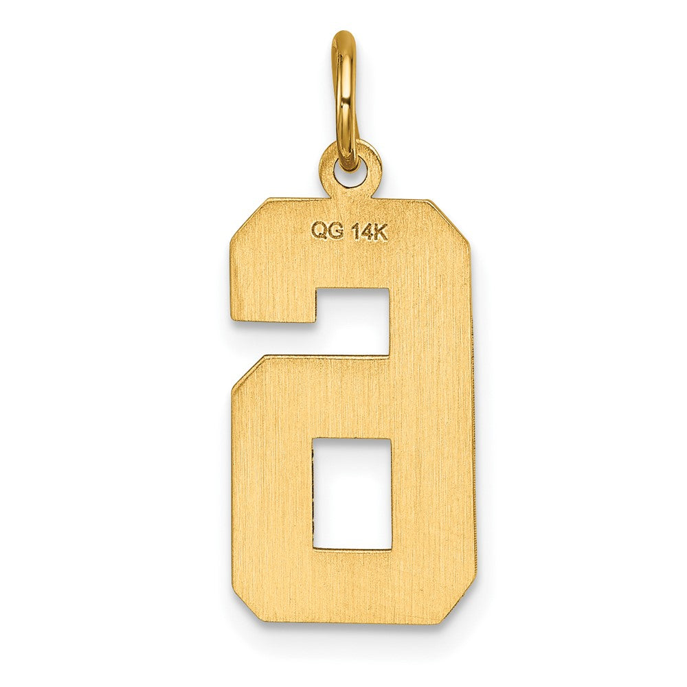 14k Large Brushed Diamond-cut Number 6 Charm