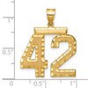 14k Large Brushed Diamond-cut Number 42 Charm