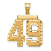 14k Large Brushed Diamond-cut Number 49 Charm