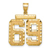 14k Large Brushed Diamond-cut Number 69 Charm
