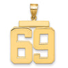 Polished Number Charms — 69