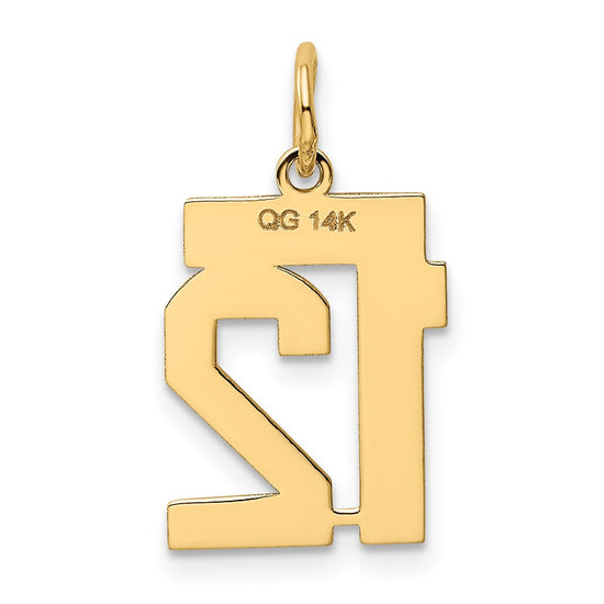 14k Small Polished Number 12 Charm