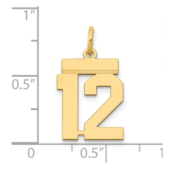 14k Small Polished Number 12 Charm