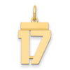 14k Small Polished Number 17 Charm