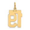 14k Small Polished Number 19 Charm