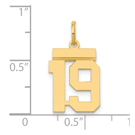 14k Small Polished Number 19 Charm