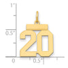 14k Small Polished Number 20 Charm