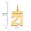 14k Small Polished Number 21 Charm