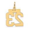 14k Small Polished Number 23 Charm