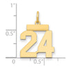 14k Small Polished Number 24 Charm