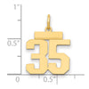 14k Small Polished Number 35 Charm