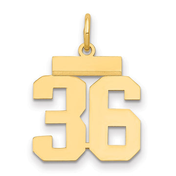 14k Small Polished Number 36 Charm