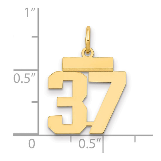 14k Small Polished Number 37 Charm