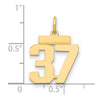14k Small Polished Number 37 Charm