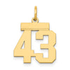14k Small Polished Number 43 Charm