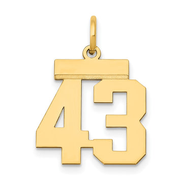 14k Small Polished Number 43 Charm