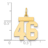 14k Small Polished Number 46 Charm