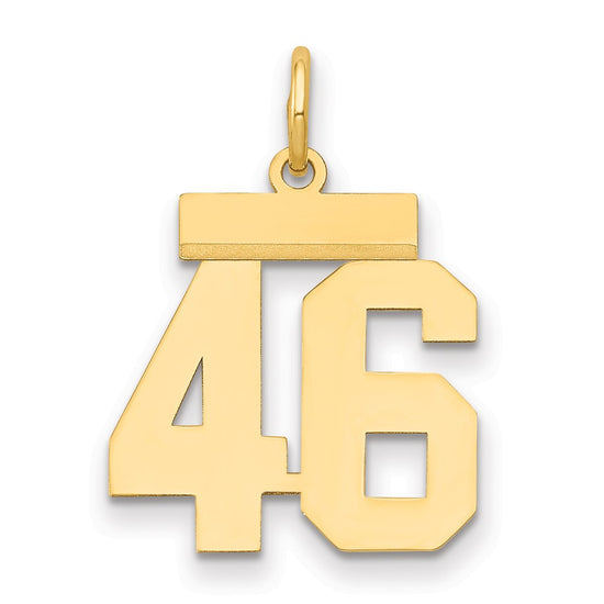 14k Small Polished Number 46 Charm