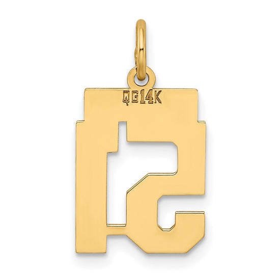 14k Small Polished Number 51 Charm
