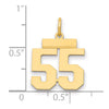 14k Small Polished Number 55 Charm