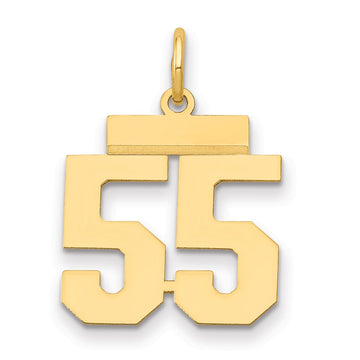 14k Small Polished Number 55 Charm